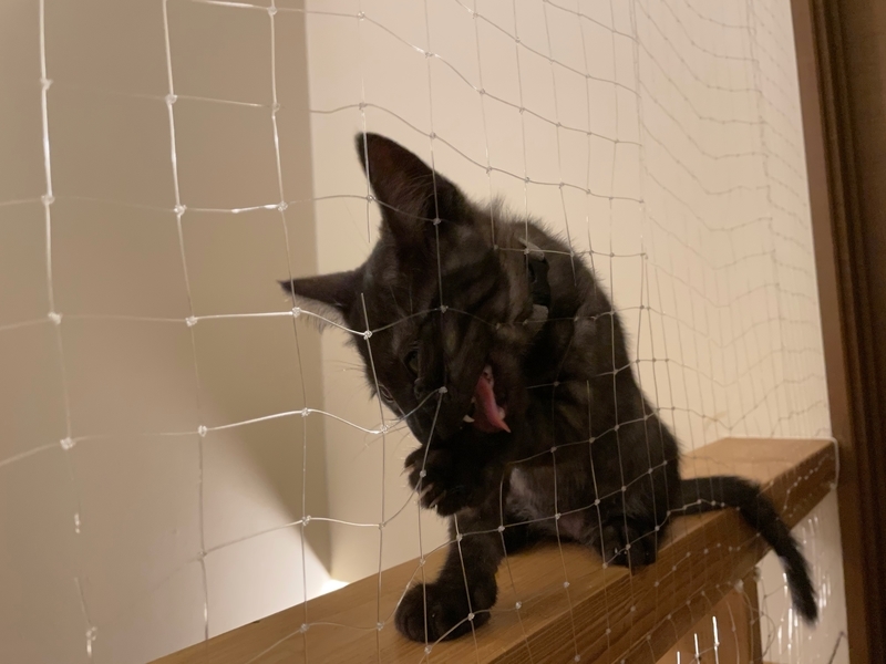 f:id:mappeke:20210813174246j:plain