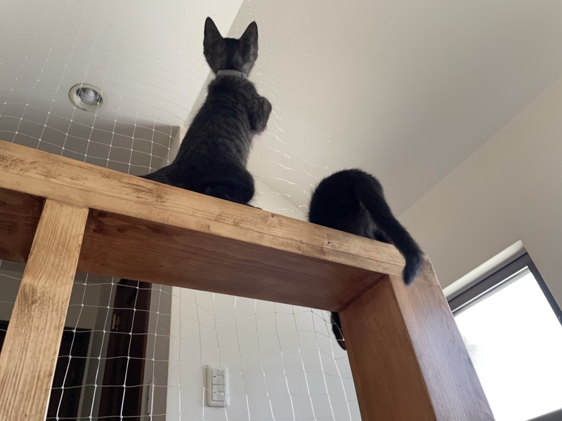 f:id:mappeke:20210813174257j:plain