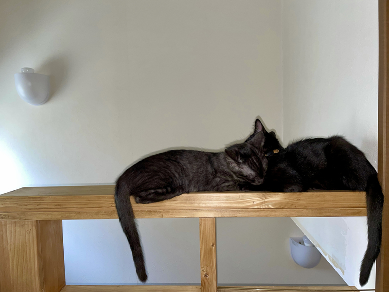 f:id:mappeke:20210813174342j:plain