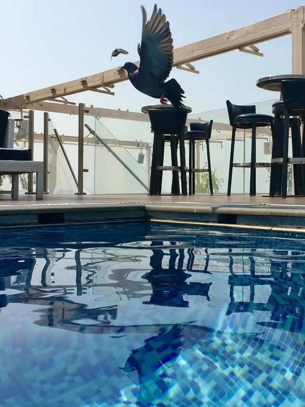 f:id:mappeke:20210829104652j:plain