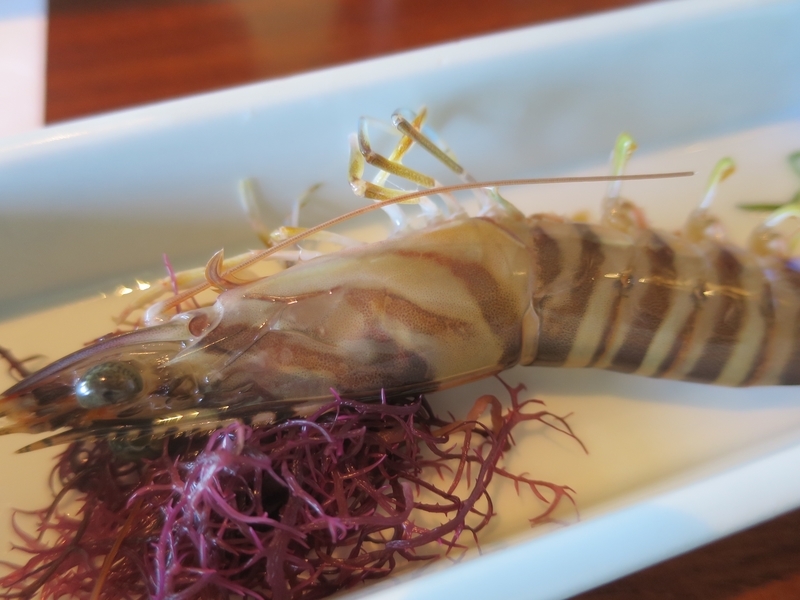 f:id:mappeke:20211101144701j:plain