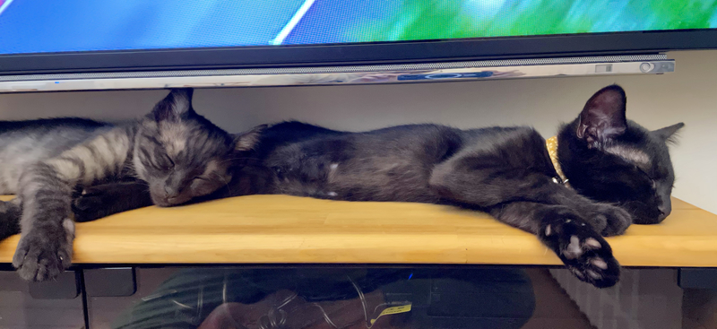 f:id:mappeke:20211101215853j:plain