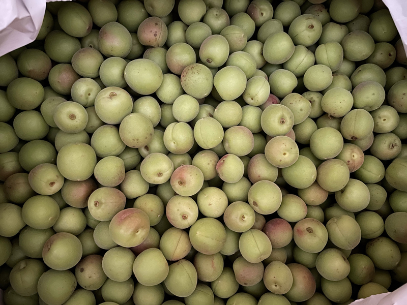 f:id:mappeke:20211101215900j:plain