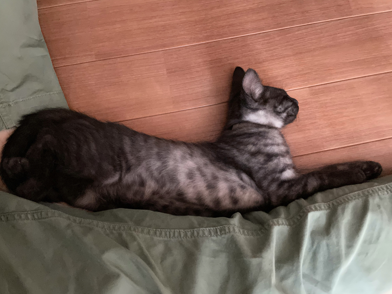 f:id:mappeke:20211101215909j:plain