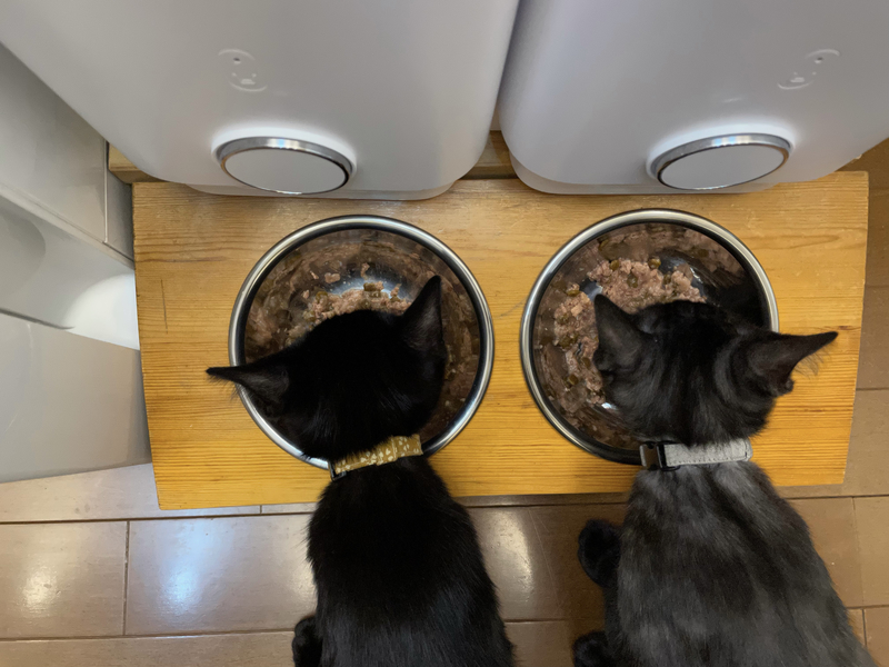 f:id:mappeke:20211101221517j:plain