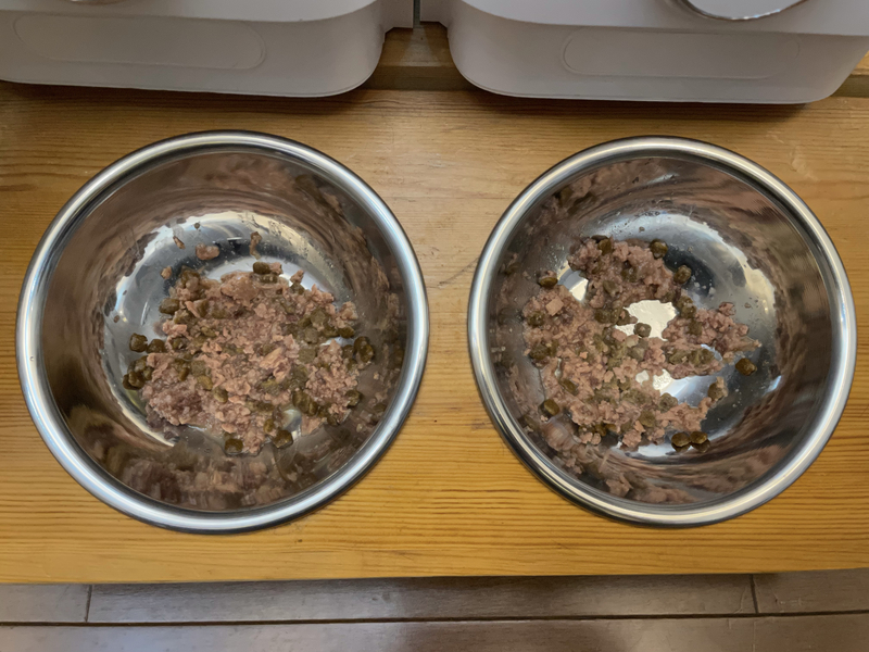 f:id:mappeke:20211101221527j:plain