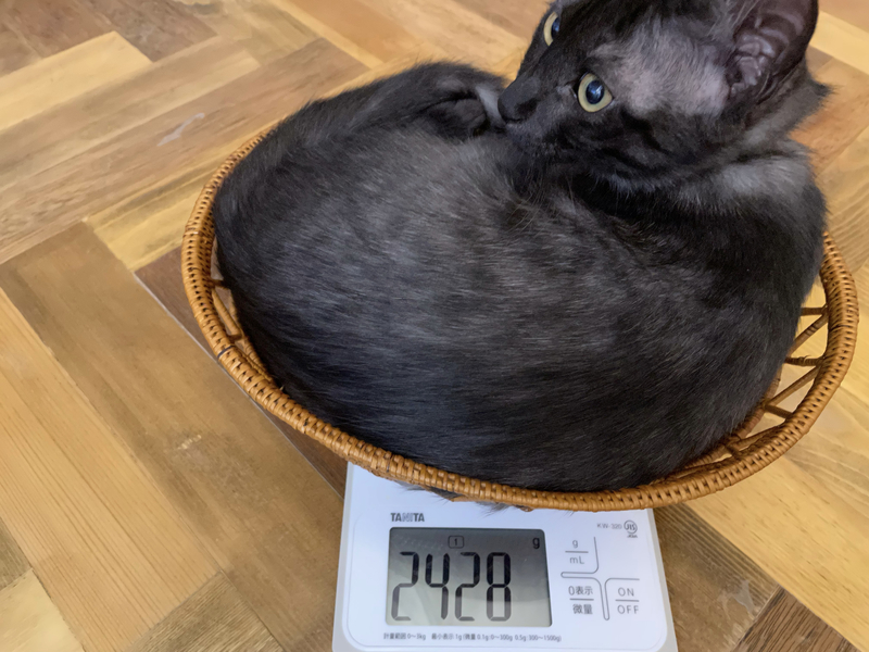 f:id:mappeke:20211101221537j:plain