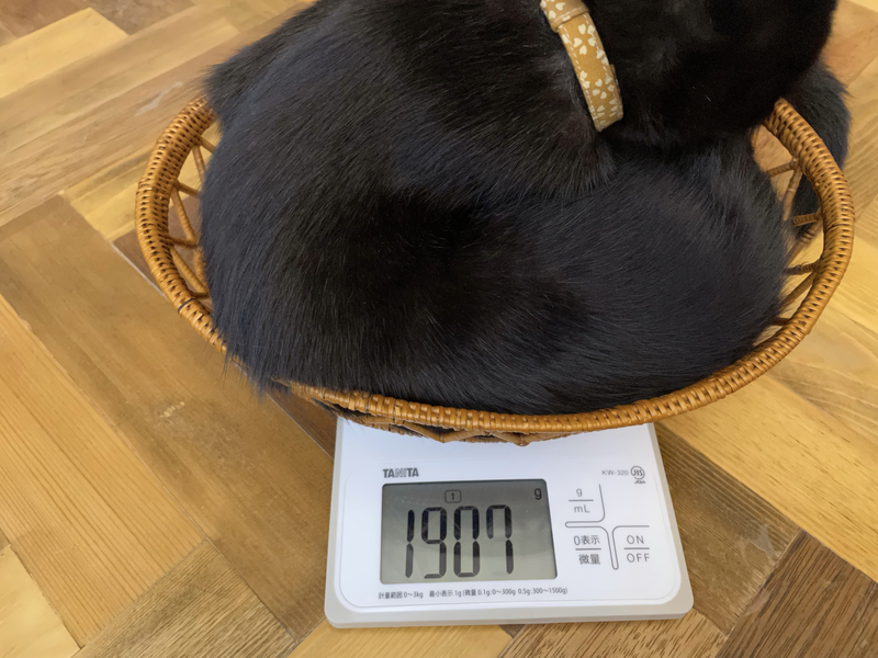 f:id:mappeke:20211101221547j:plain