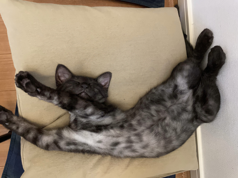 f:id:mappeke:20211101221558j:plain