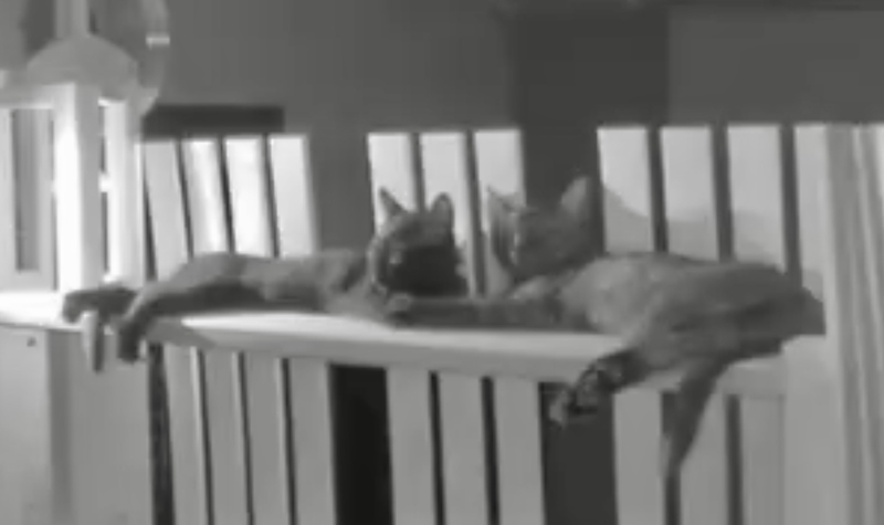 f:id:mappeke:20211102192422j:plain