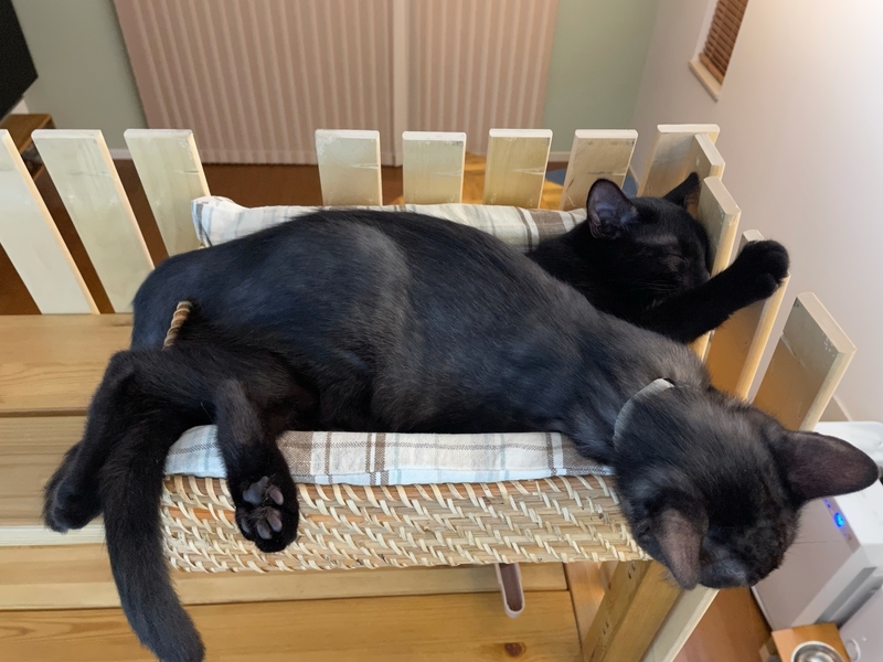 f:id:mappeke:20211102234948j:plain