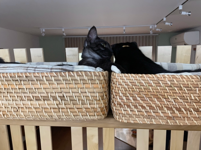 f:id:mappeke:20211104170652j:plain