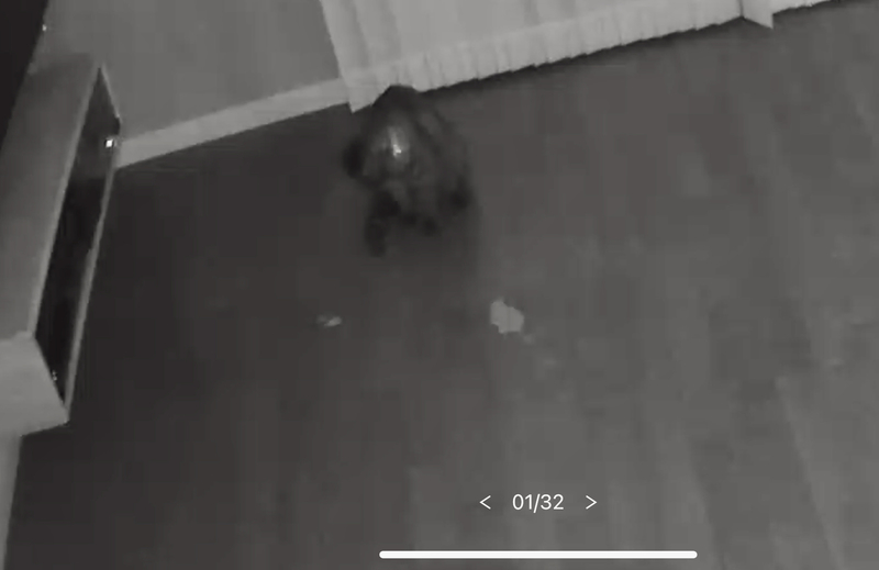 f:id:mappeke:20211113173111j:plain