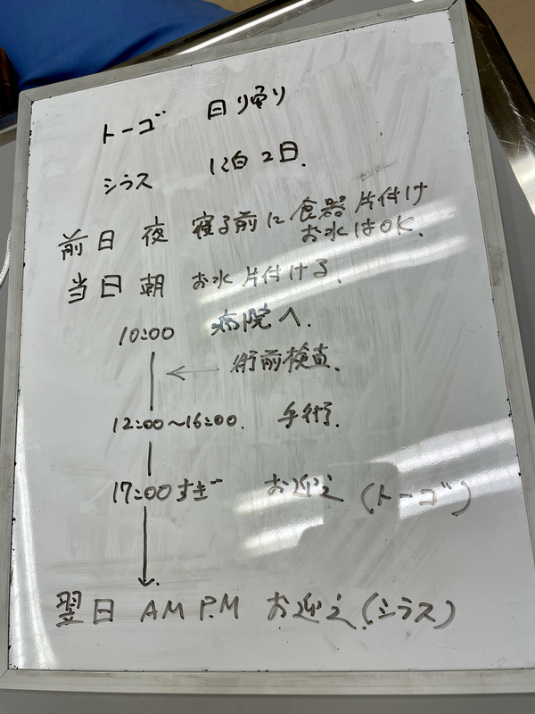 f:id:mappeke:20211114125754j:plain