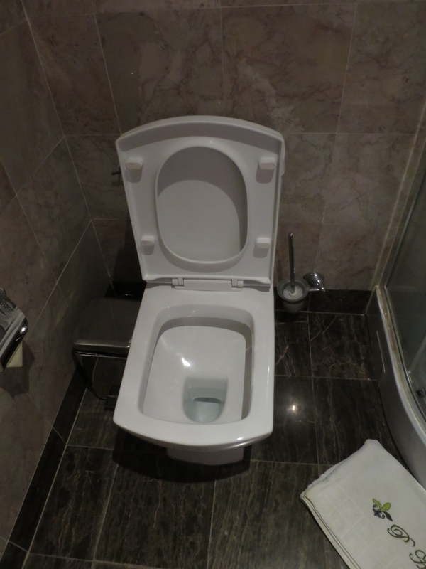 f:id:mappeke:20211201230650j:plain