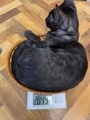 20220430185505