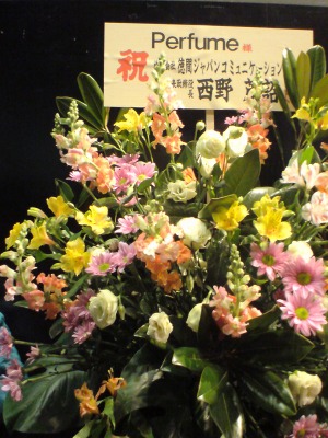 イメージ 8
