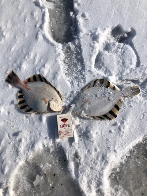 f:id:mapserver2:20190213003907j:plain