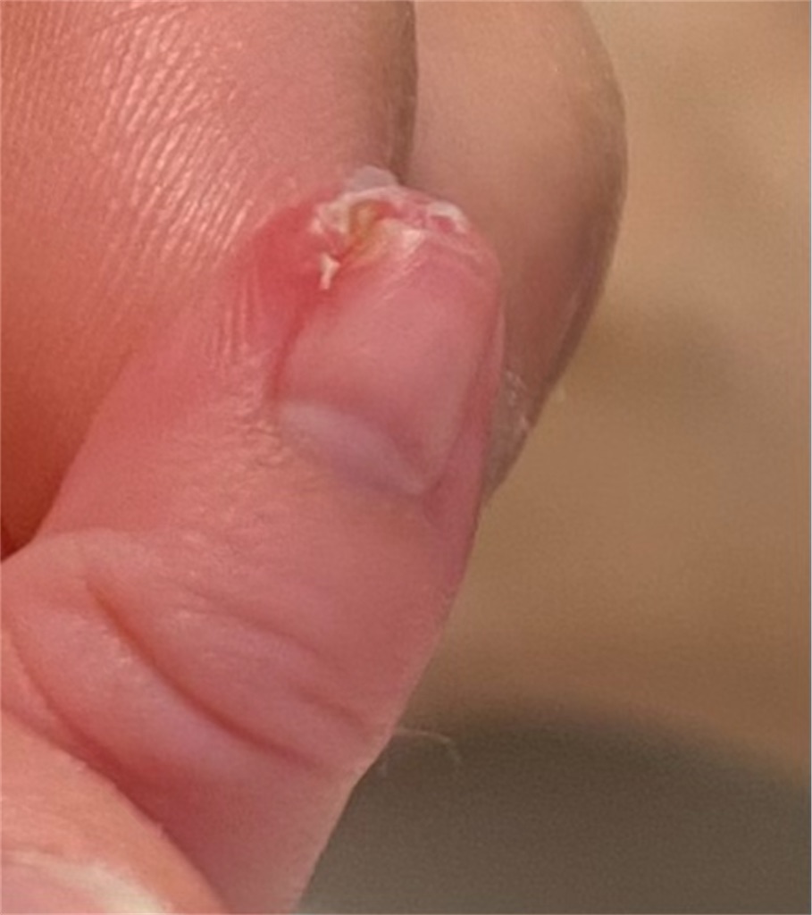 f:id:mar1m51:20231130163035j:image