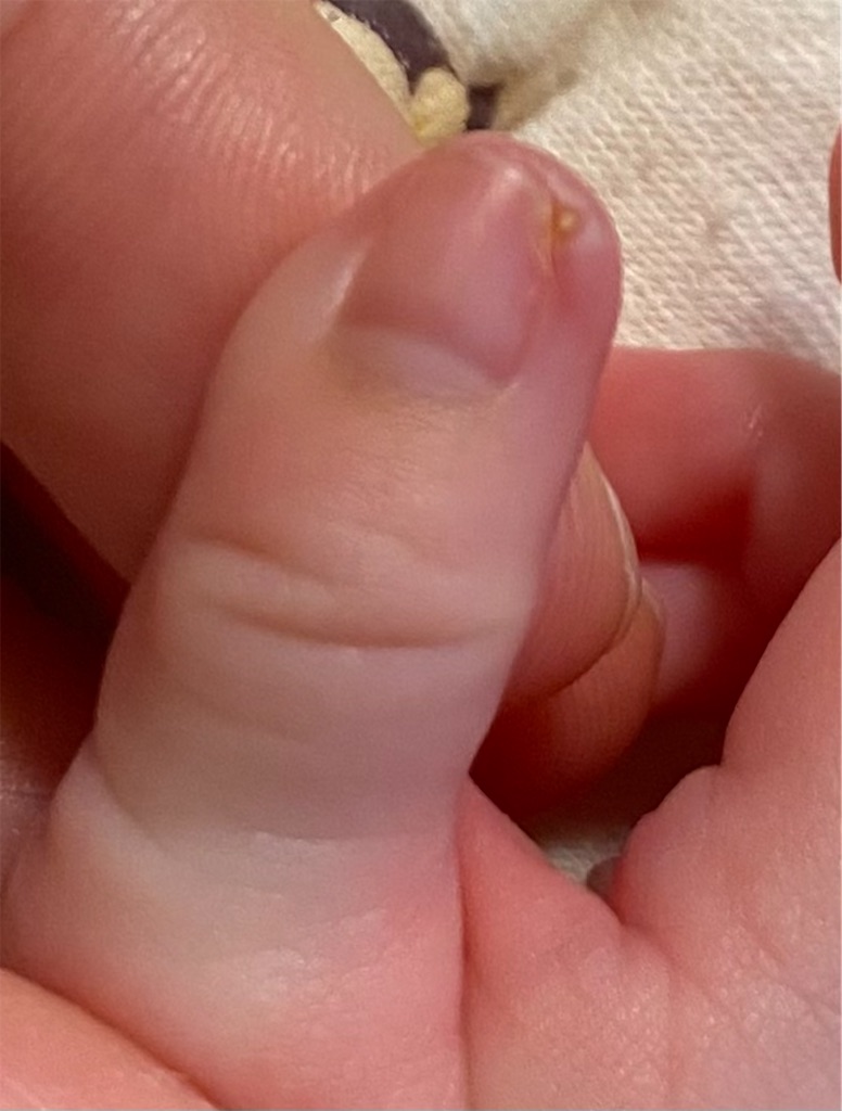 f:id:mar1m51:20231130163054j:image