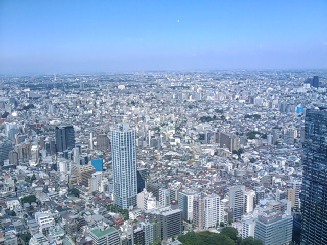 東京都庁北展望室より。関東平野まじ広大