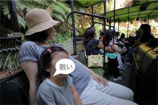 f:id:maraissalant:20180806071949j:image f:id:maraissalant:20180806071949j:image