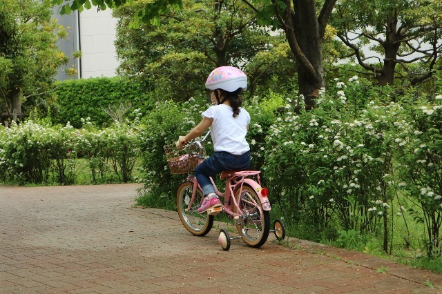 約4歳半での自転車デビュー 父親が考えたこと 約4歳半での自転車デビュー 父親が考えたこと