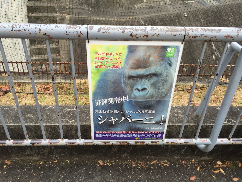 f:id:marathondojo:20151107162553j:image f:id:marathondojo:20151107162553j:image