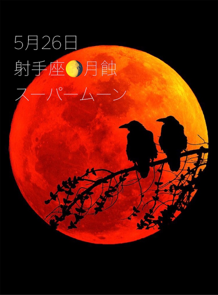 f:id:marble-chiffon:20210526102843j:image