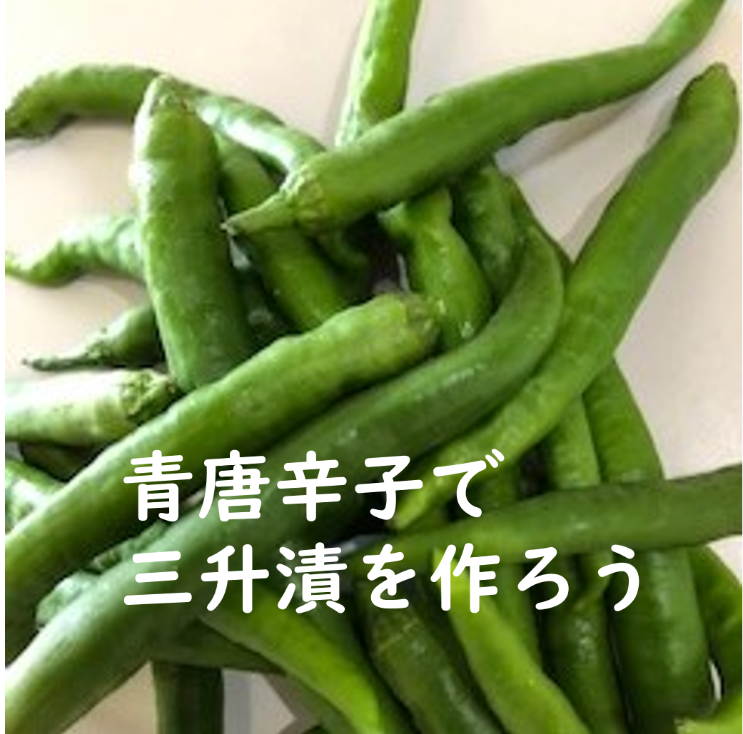 f:id:marblemomo:20190809002005p:plain