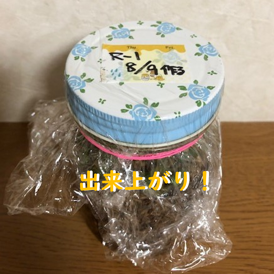 f:id:marblemomo:20190809215834p:plain