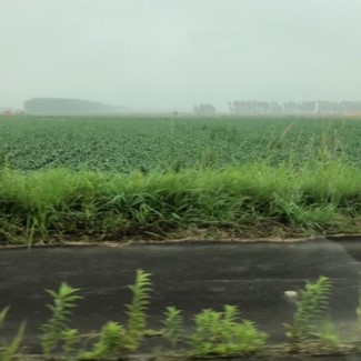 f:id:marblemomo:20190817234610j:plain
