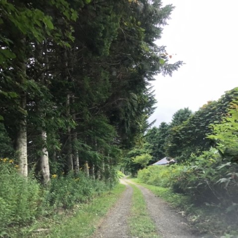 f:id:marblemomo:20190817234647j:plain