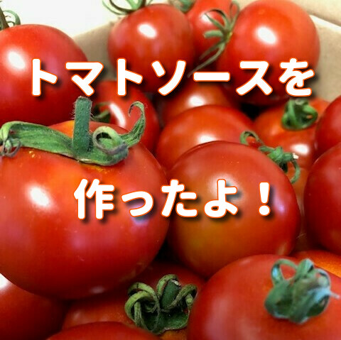 f:id:marblemomo:20190818211448j:plain