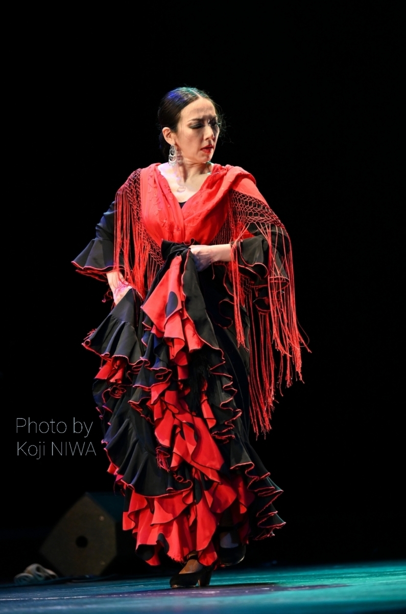 フラメンコの芸術 【公式通販】