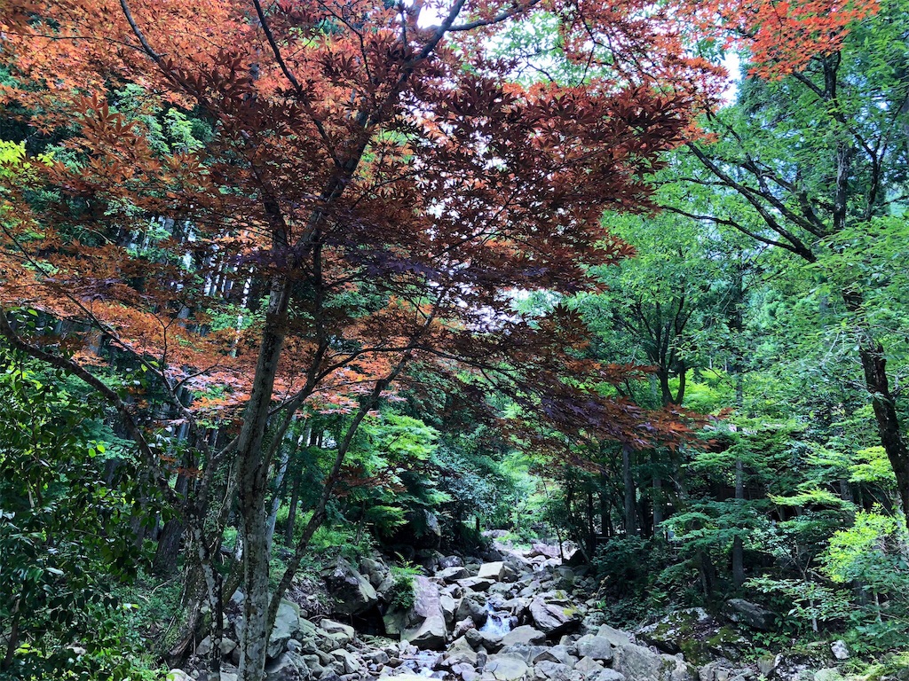 f:id:march601:20190910201130j:image f:id:march601:20190910201130j:image