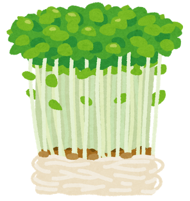 f:id:marche3280:20180113080232p:plain