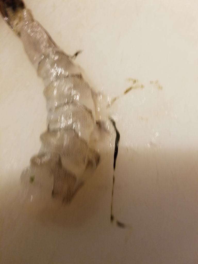 f:id:marche3280:20190215223623j:plain