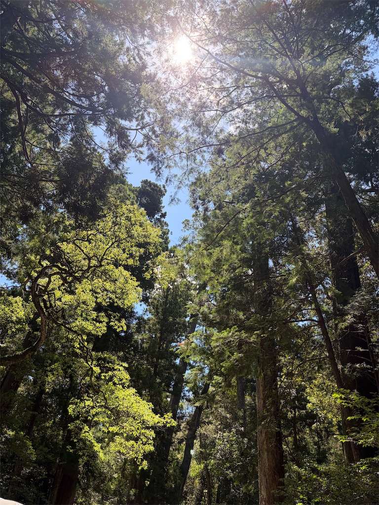 f:id:marchsnow2:20260815100824j:image f:id:marchsnow2:20260815100824j:image