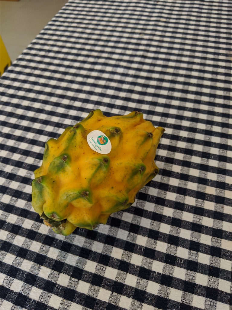 f:id:marcia_singapore:20200728121313j:image