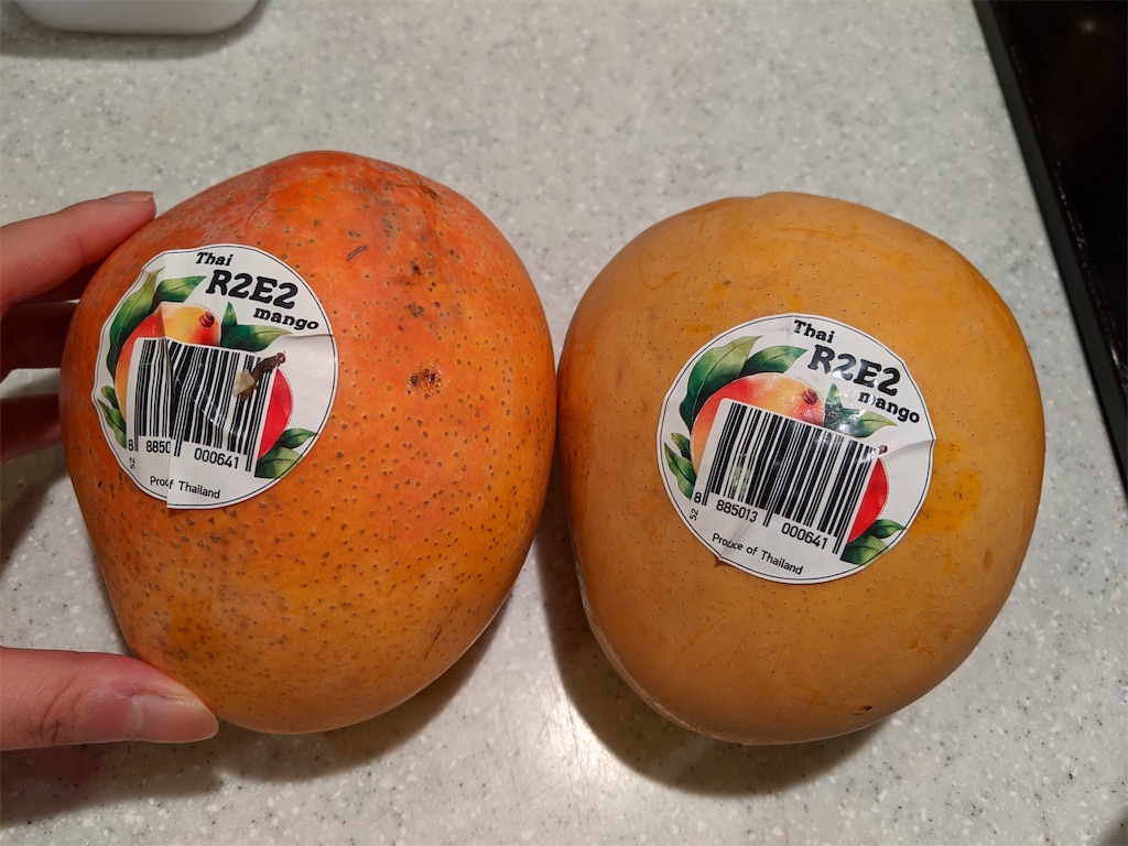 f:id:marcia_singapore:20200728122100j:image