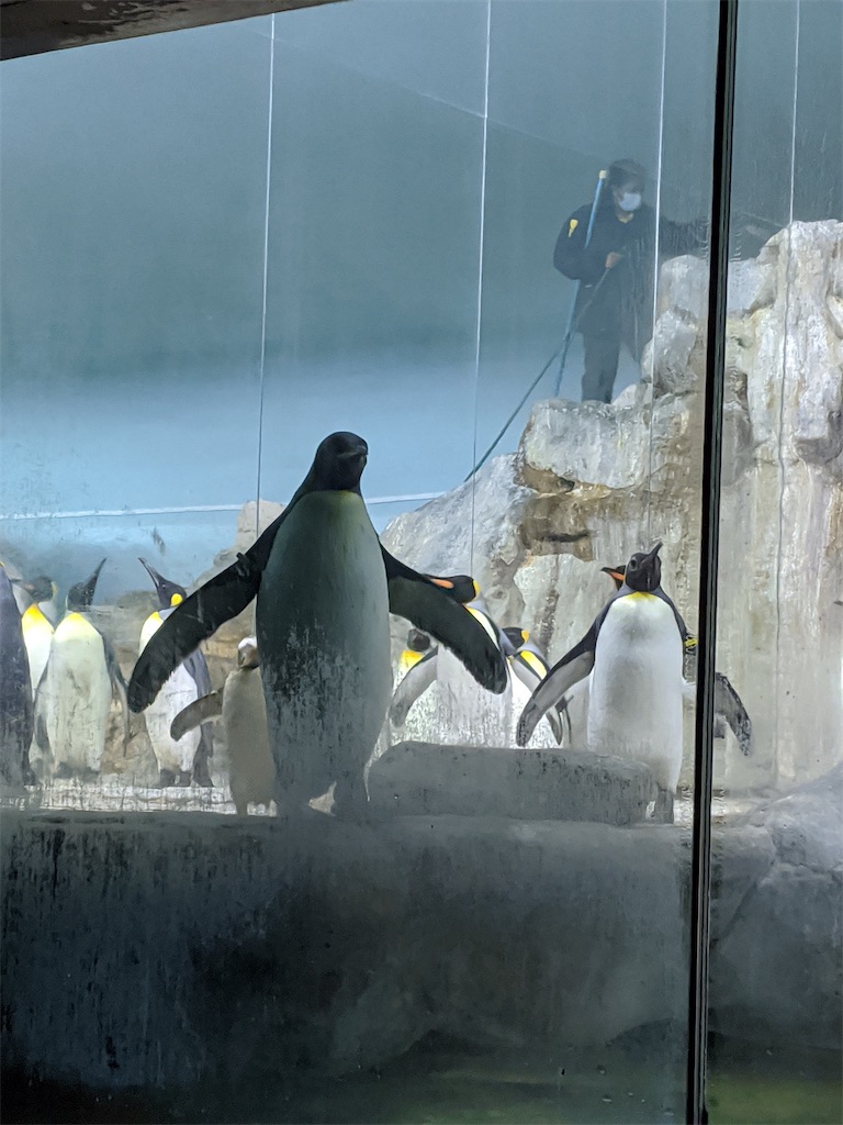 f:id:marcia_singapore:20200729182432j:image