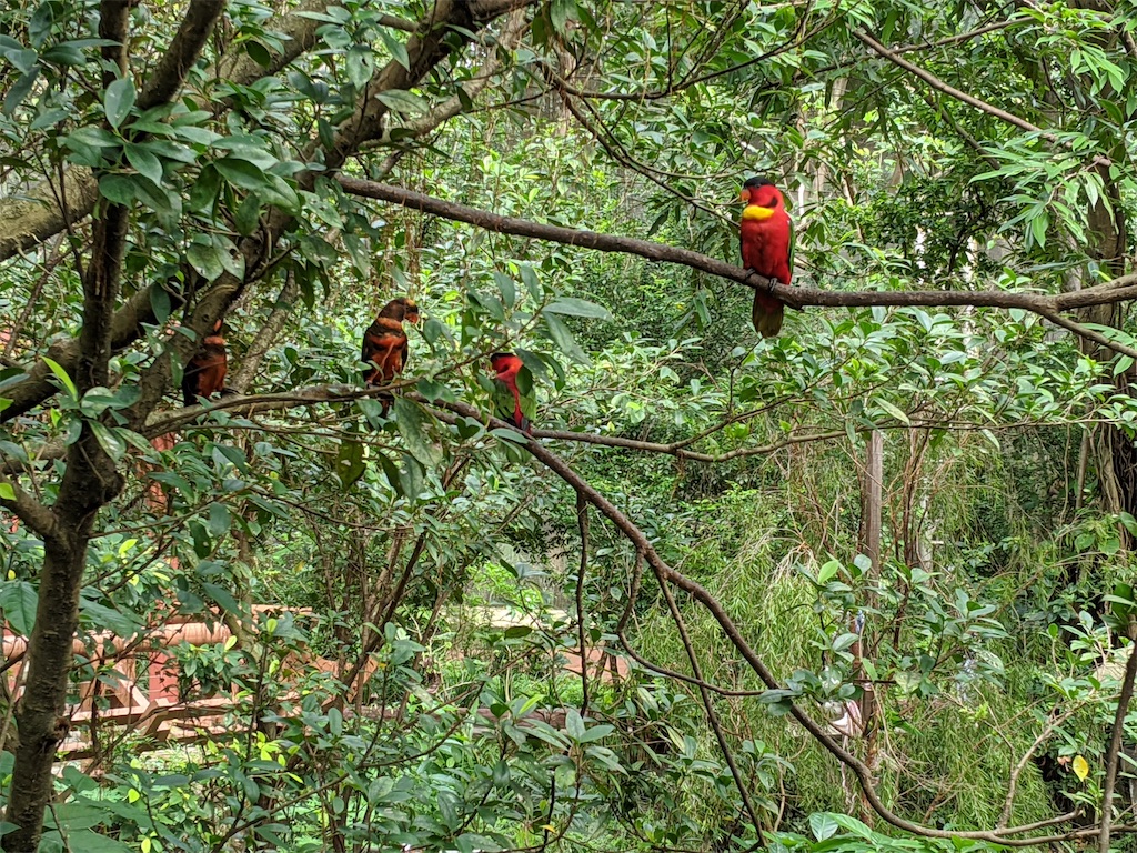 f:id:marcia_singapore:20200729183054j:image