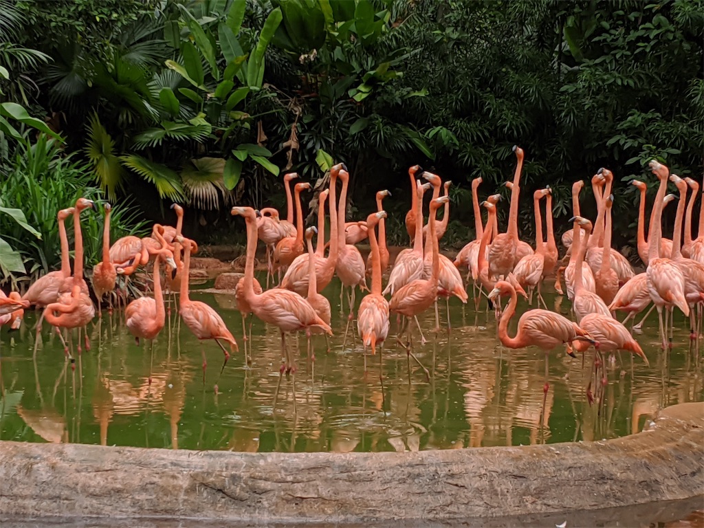 f:id:marcia_singapore:20200729183216j:image