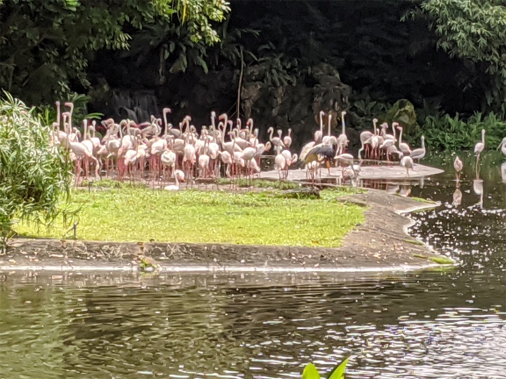 f:id:marcia_singapore:20200729183220j:image