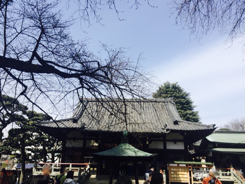 f:id:marctimel:20170318173604j:plain f:id:marctimel:20170318173604j:plain