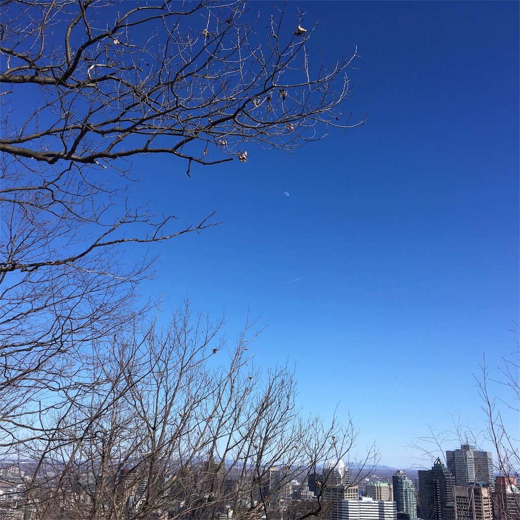 f:id:marcus-san:20180409080859j:image