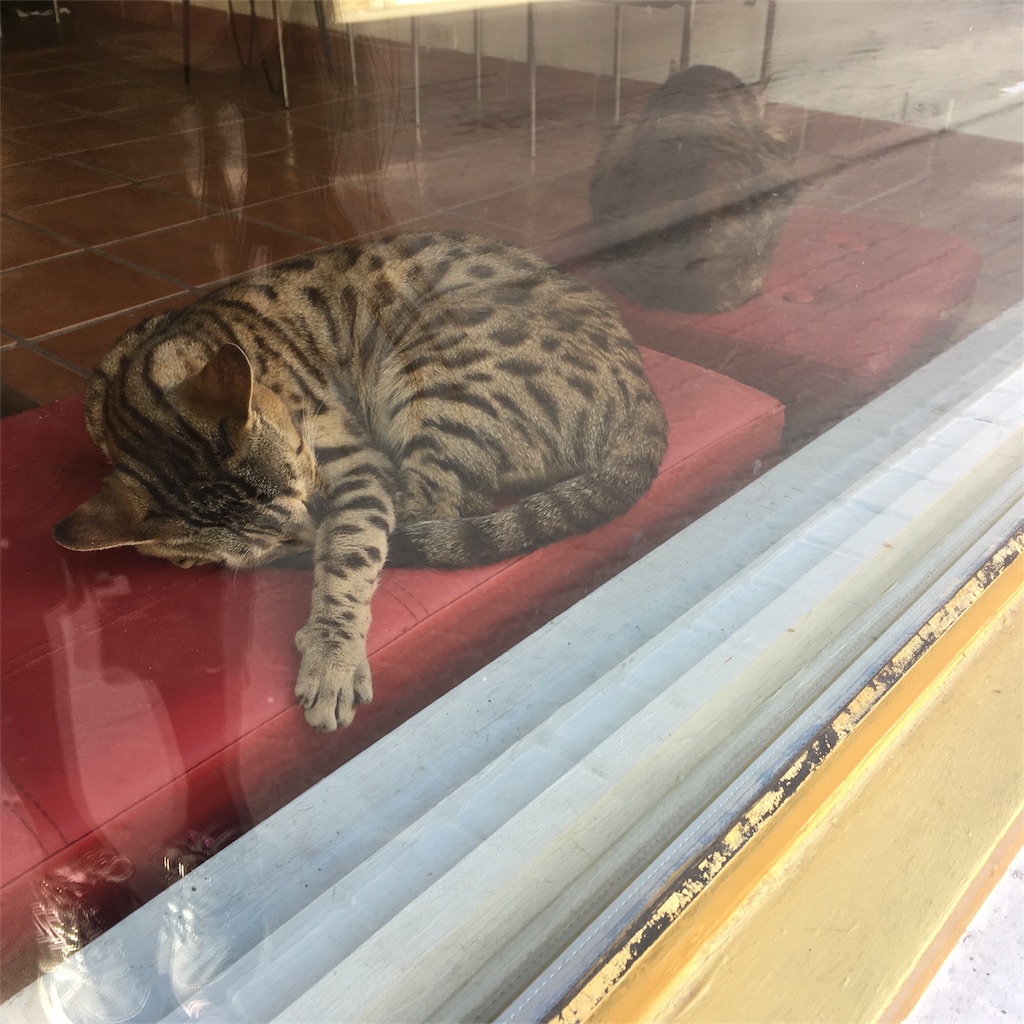 f:id:marcus-san:20180505042849j:image f:id:marcus-san:20180505042849j:image