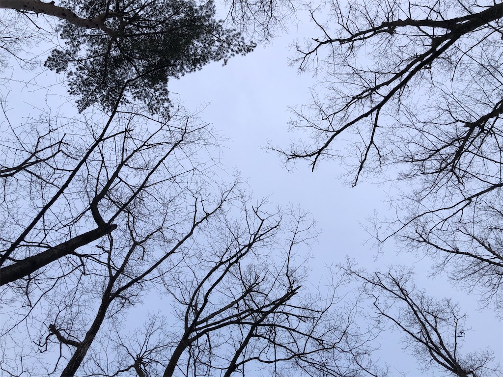 f:id:marcy-k:20210607202639j:image