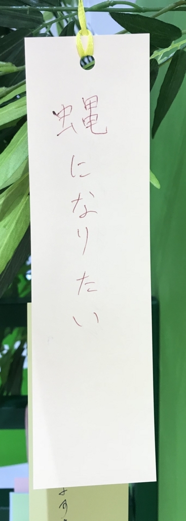 f:id:marehoooo:20180706111421j:plain